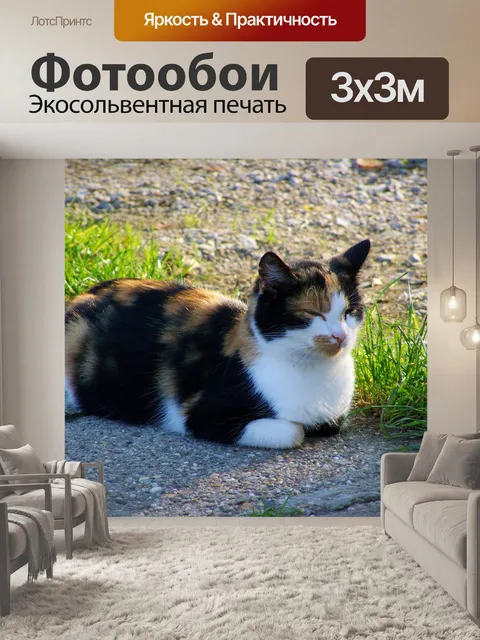 Фотообои Пестрая кошка