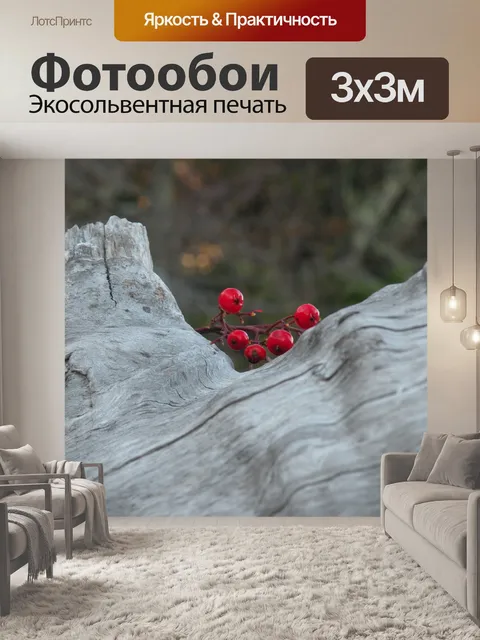 Фотообои Красные ягоды