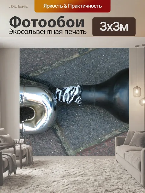 Фотообои Рога инструмент