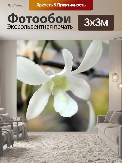 Фотообои 3 белых орхидей