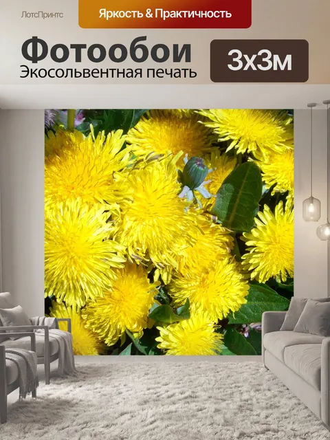 Фотообои Халат одуванчик