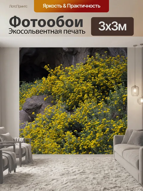 Фотообои Желтые полевые цветы