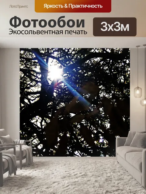 Фотообои яркие солнечные лучи сквозь ветви