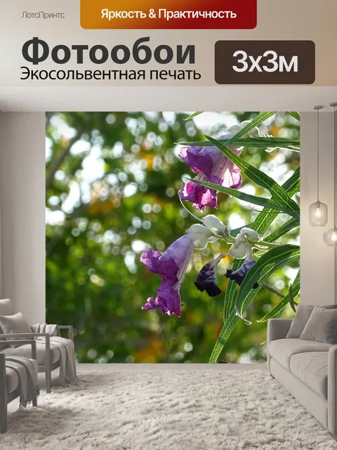 Фотообои Фиолетовый