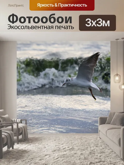 Фотообои Чайка