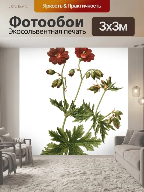 Фотообои Винтажный клипарт арт цветы