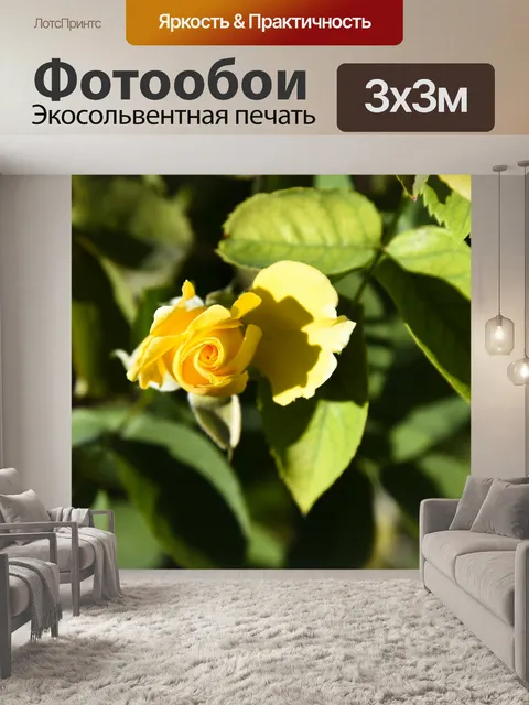 Фотообои Желтая роза Бад