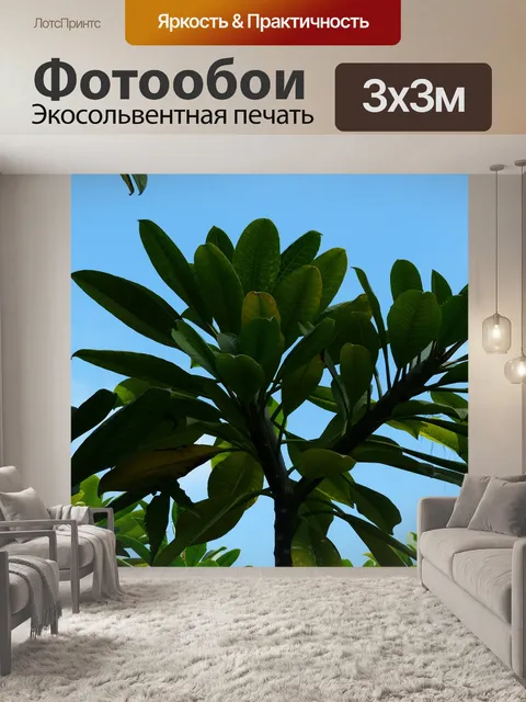 Фотообои Листья