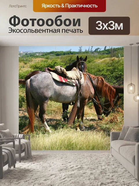 Фотообои Лошади