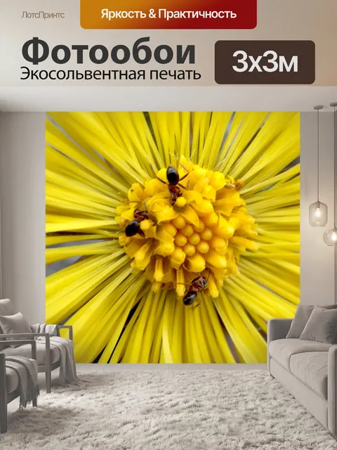 Фотообои Цветок