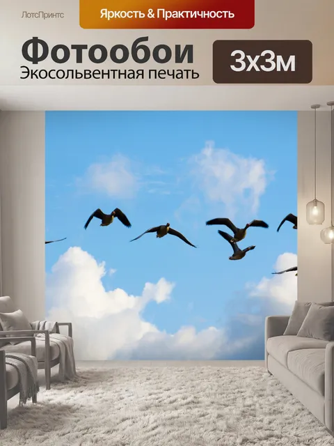 Фотообои Группа летящих гусей