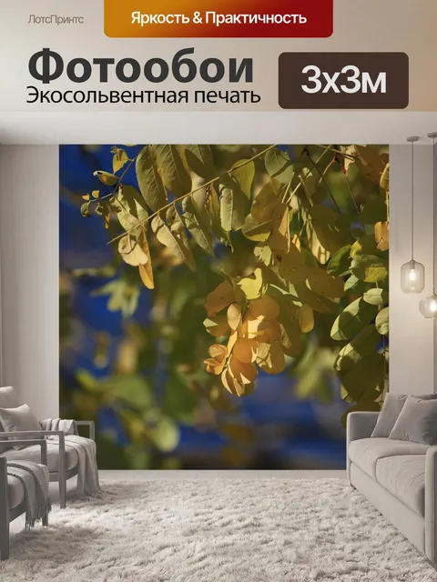 Фотообои Осень