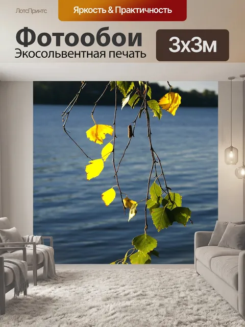 Фотообои Берёза