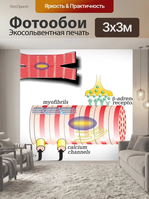 Фотообои Клетка