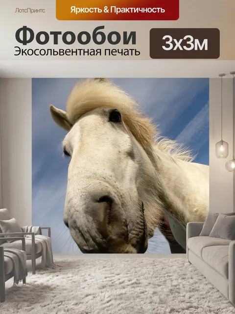 Фотообои Лошадь