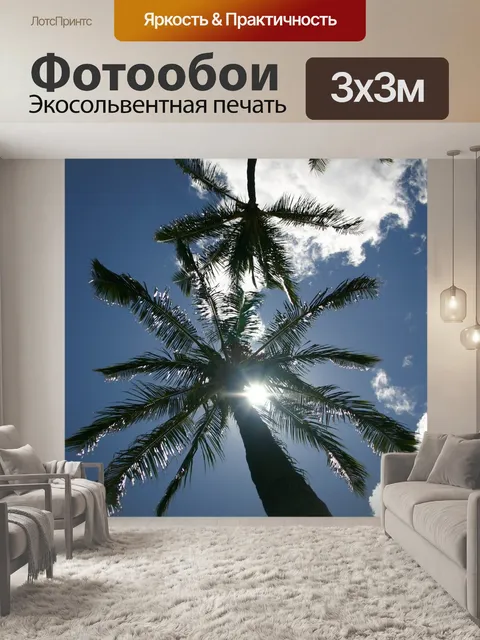 Фотообои Пальмы