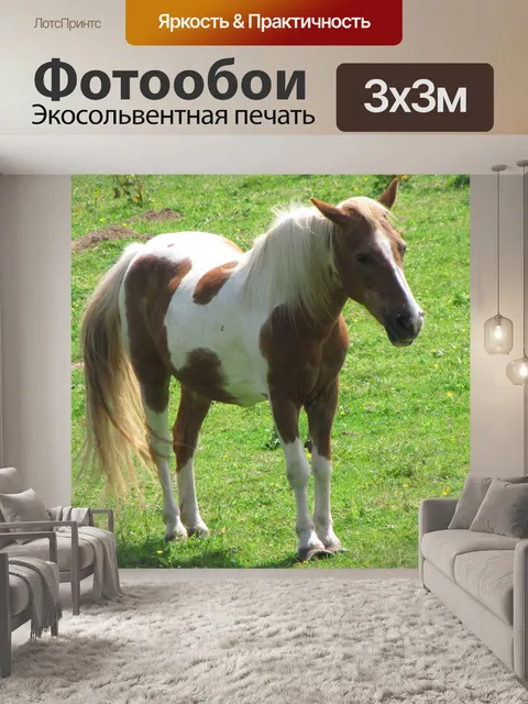 Фотообои Коричневый и белый конь