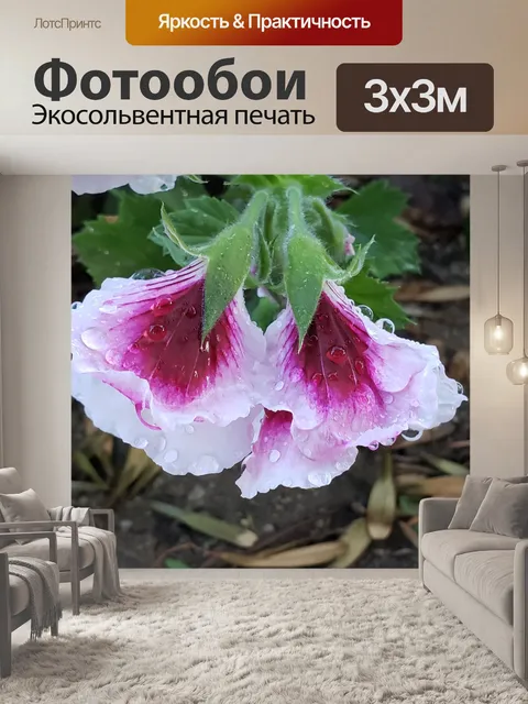 Фотообои Розовые и белые мокрые цветы