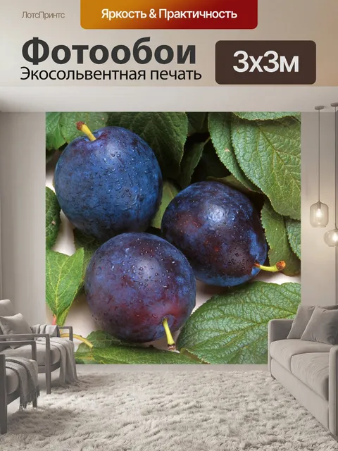 Фотообои сливы