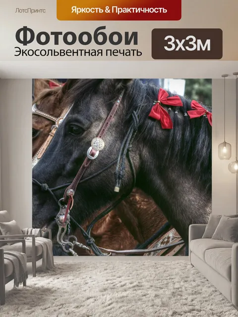 Фотообои Парадные лошади