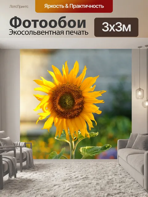 Фотообои Большой цветок подсолнуха