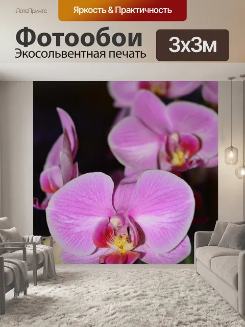 Фотообои Розовая орхидея.