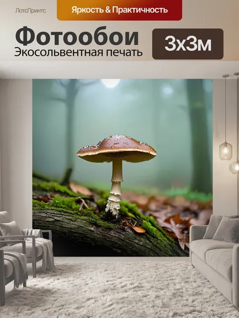Фотообои грибы дождевик, растущие на старом дереве, с мелкими каплями росы на шляпках, утренний туман окутывает землю