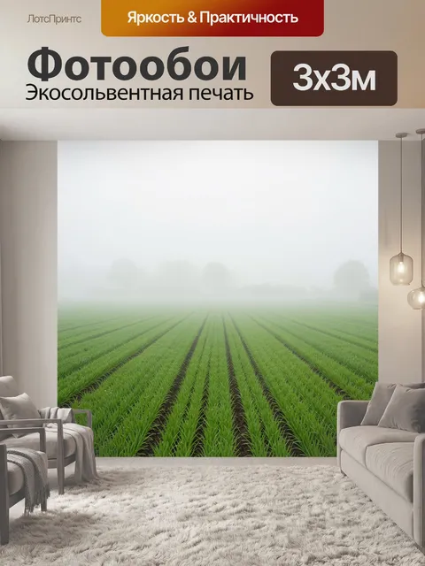 Фотообои Туманное поле с зелёными всходами