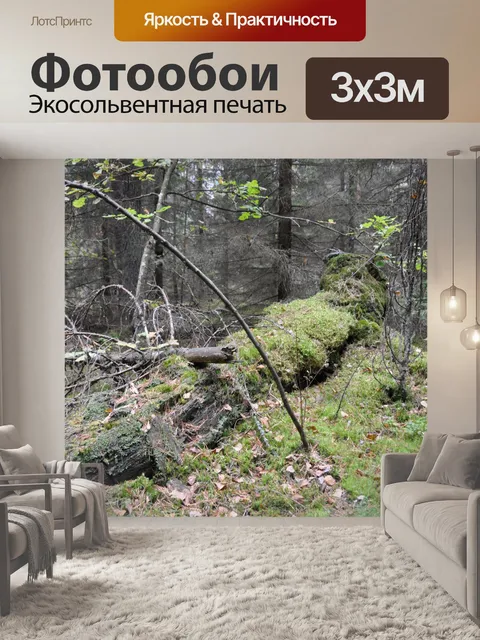 Фотообои Лес
