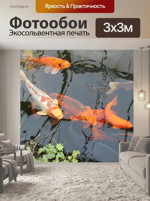 Фотообои Koi