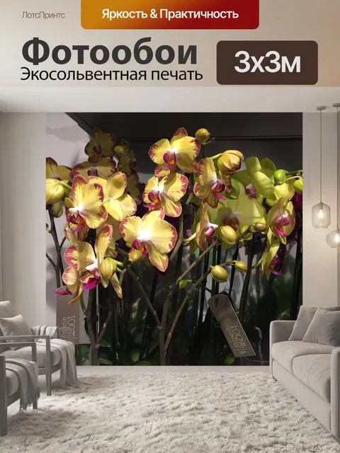 Фотообои Цветы