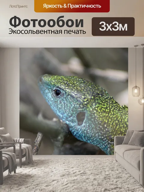Фотообои Европейская зеленая ящерица
