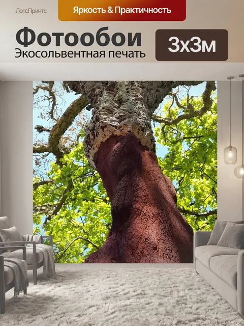 Фотообои Дуб пробковый