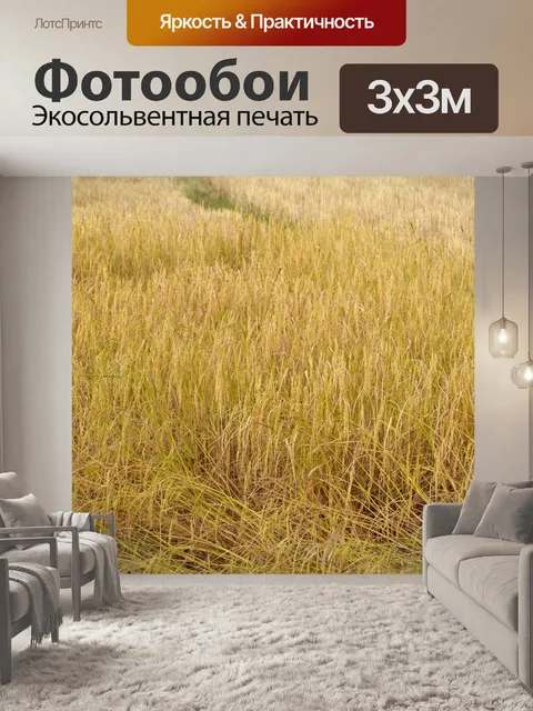 Фотообои Зрелый урожай золотого риса