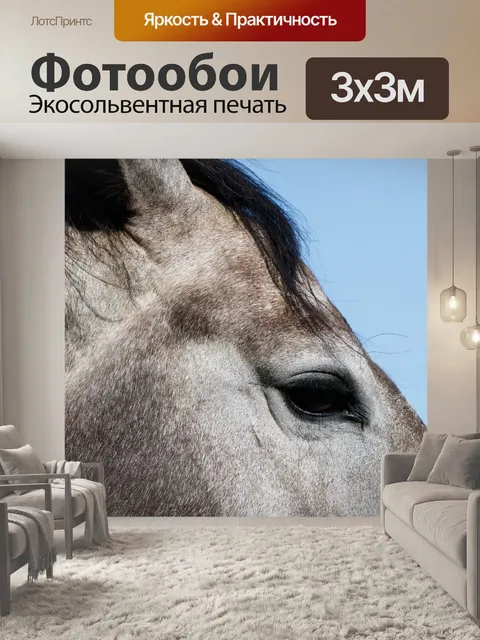 Фотообои Лошадь глаз закрыть вверх