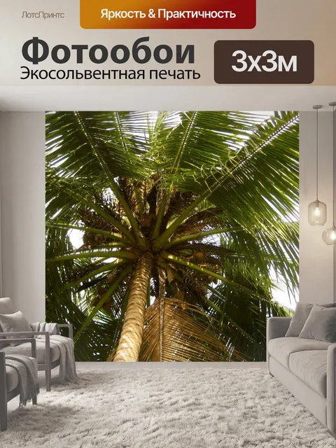 Фотообои Пальма