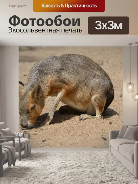 Фотообои Мара 01
