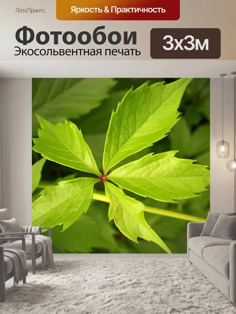 Фотообои Лист