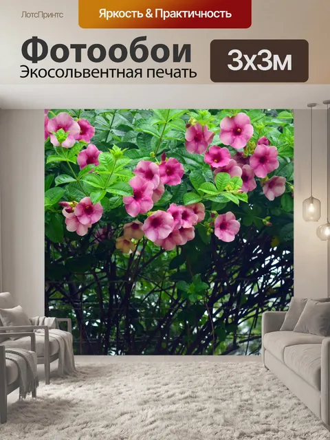 Фотообои Мандевилла цветы 1