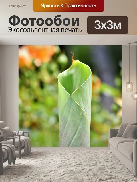 Фотообои Банановый лист
