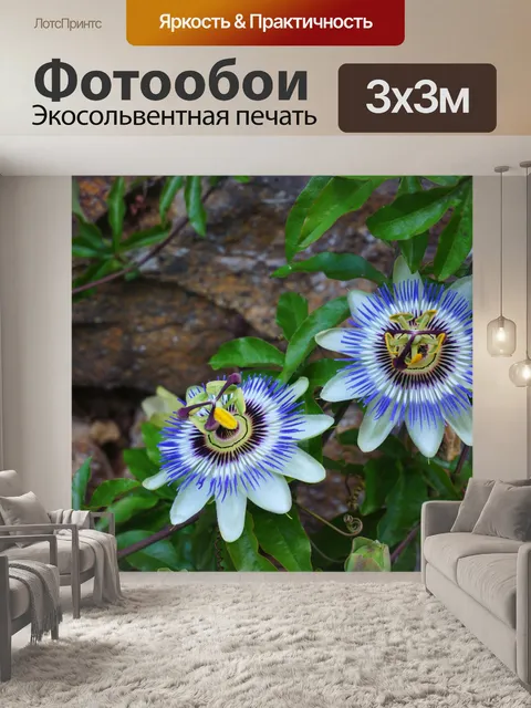 Фотообои Синий пассифлоры
