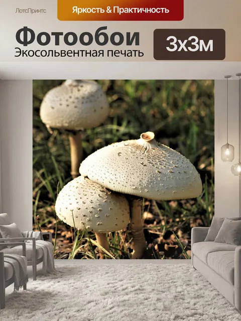 Фотообои Белые грибы-аманиты
