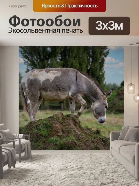 Фотообои Осел