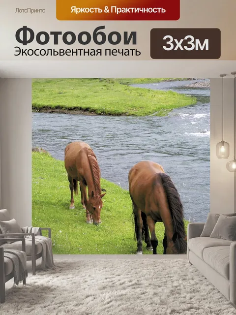 Фотообои Лошади