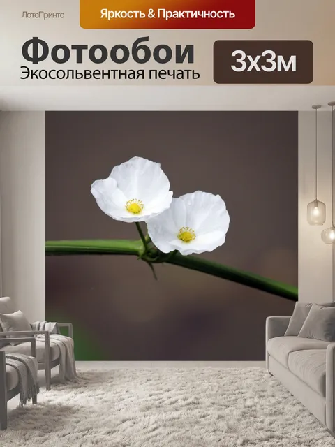 Фотообои Два белый цветок у пруда