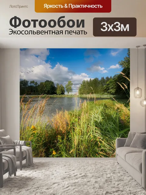 Фотообои Камыши