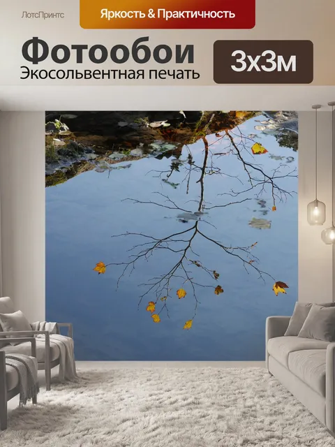 Фотообои Отражение