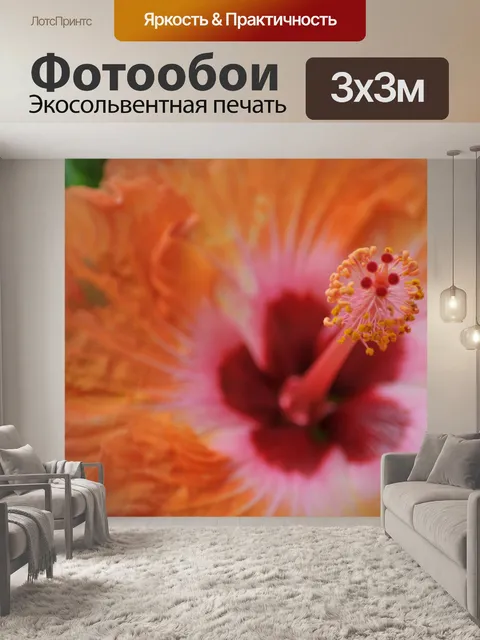 Фотообои Цветок из гибискуса