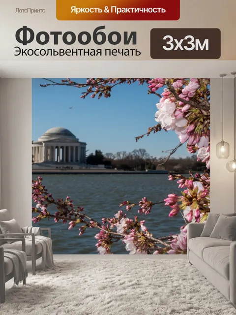 Фотообои Цветение вишни