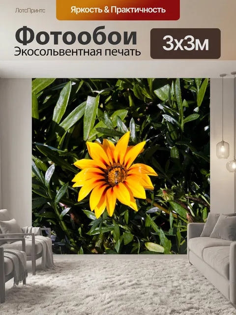 Фотообои Bumble Bee опыления Daisy